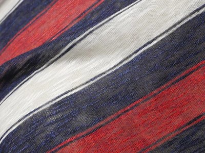D.G Textile リネンボーダー天竺（ダークレッド） メイン