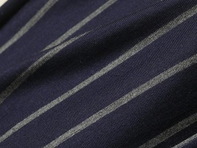 薄手ボーダーウール天竺（ネイビー） メイン