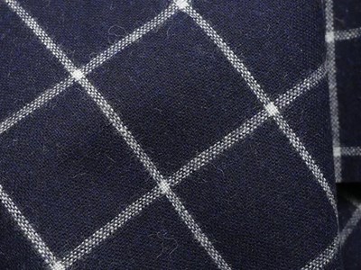 エタミンウィンドウペーンチェック（ネイビー） メイン