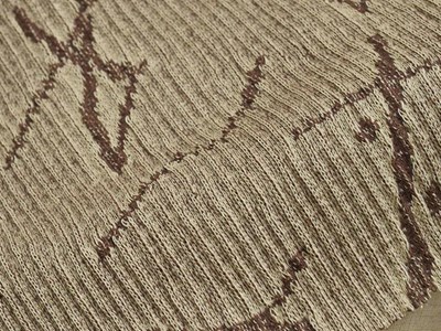 プリーツジャカードニット（ブラウン） メイン