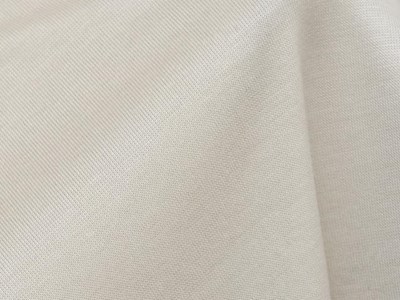 Tn/Cuシャイニーローゲージ天竺（エクリュ） メイン