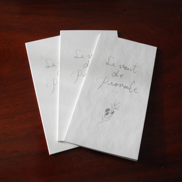 小物デザイナー、アーティスト anano