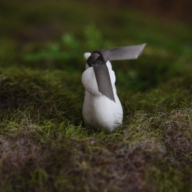 francjour フランジュール ｜ Anano リスのフェーヴ (AN-1031)