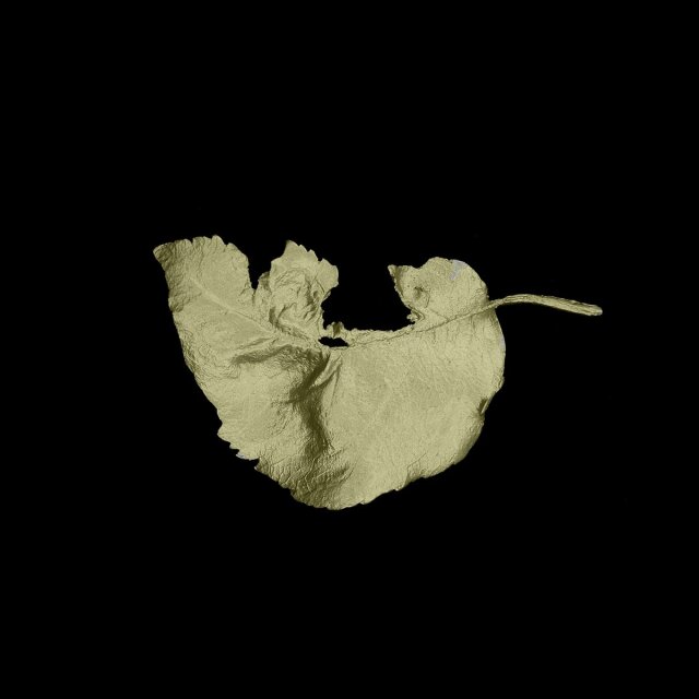 アップル リーフ ブローチ / Michael Michaud