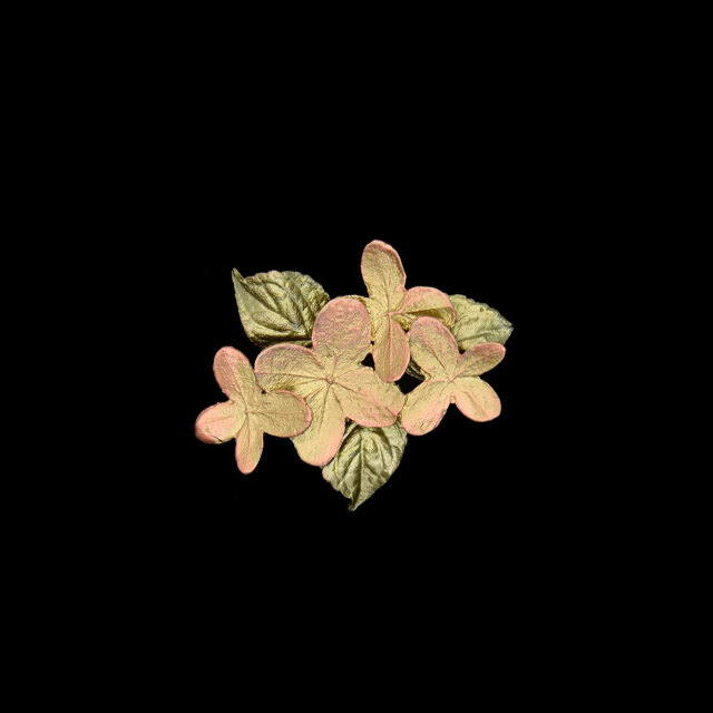 アジサイ スモールブローチ / Michael Michaud