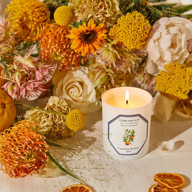 francjour フランジュール ｜ Carriere Freres フレグランス