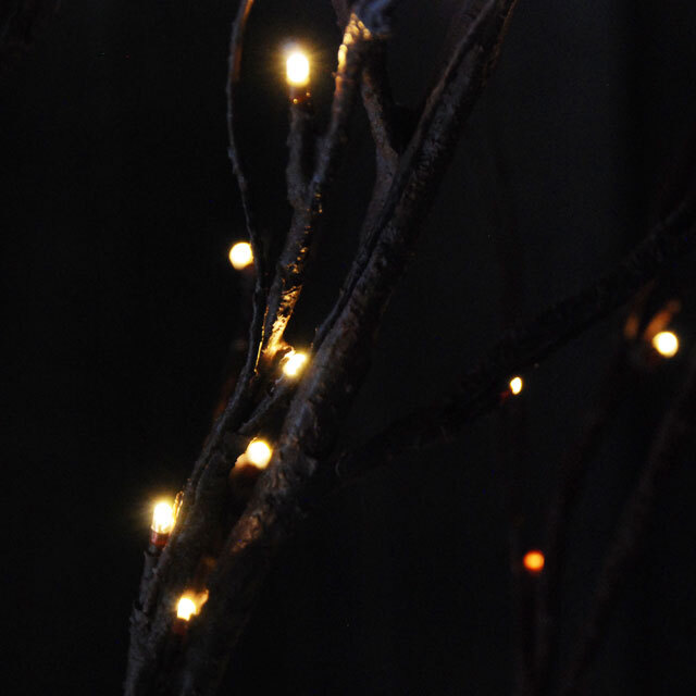 fiorira un giardino フィオリラ　アン　ジアルディーノ　フランジュール　francjour import　インポート