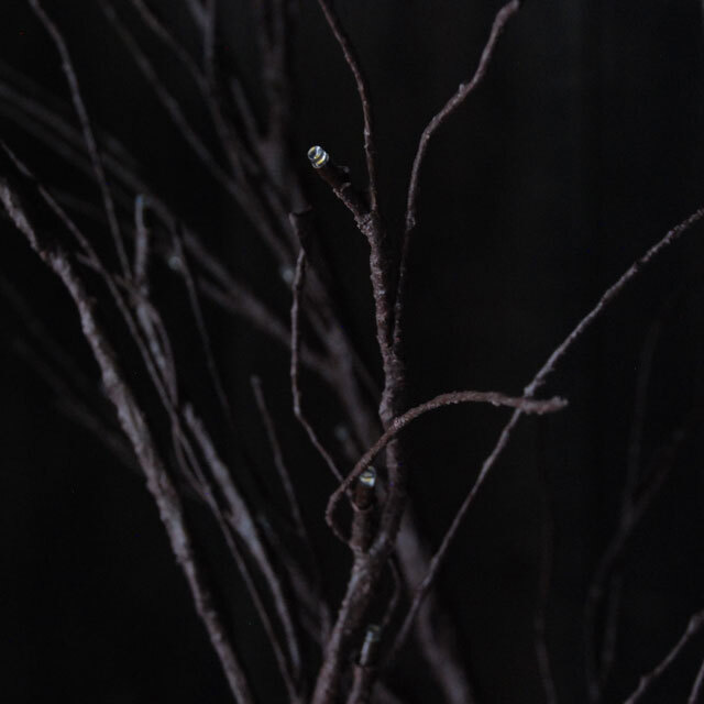 fiorira un giardino フィオリラ　アン　ジアルディーノ　フランジュール　francjour import　インポート