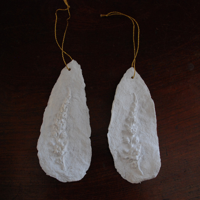 メルシー ルイ MERCI LOUISフロムヨーロッパ