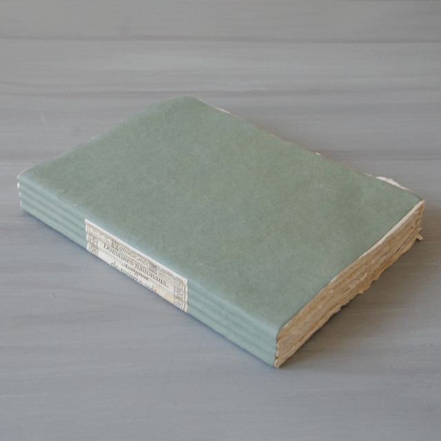 メルシー ルイ MERCI LOUISフロムヨーロッパ