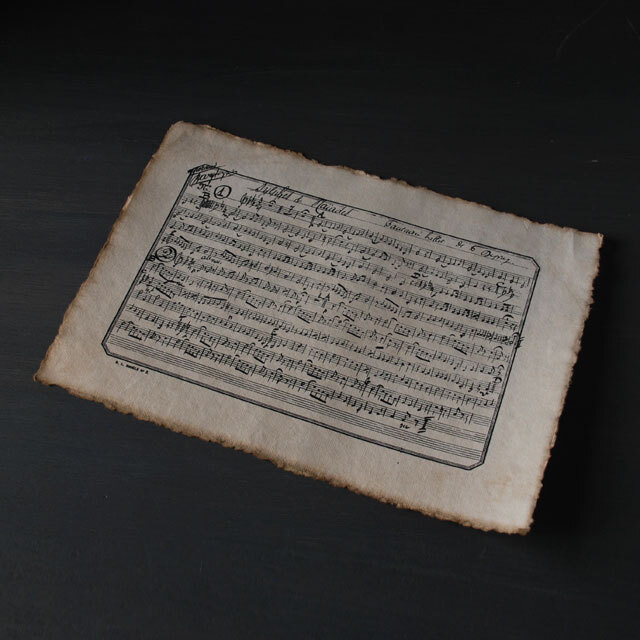 メルシー ルイ MERCI LOUISフロムヨーロッパ