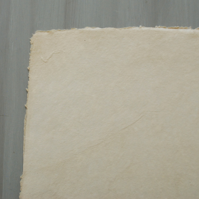 ペーパーランチョンマット / MERCI LOUIS