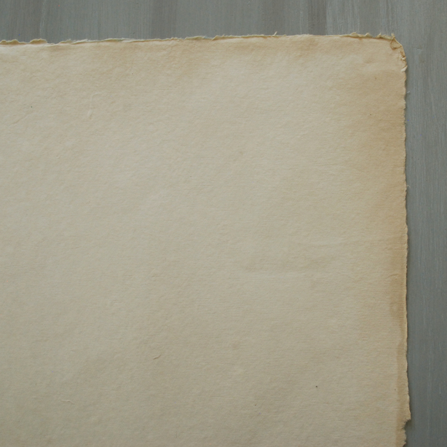 ペーパーランチョンマット / MERCI LOUIS