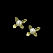 ボックスウッド ポストピアス / Michael Michaud