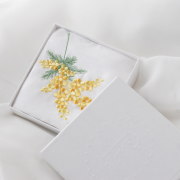 フランジュールのfete du mimosa