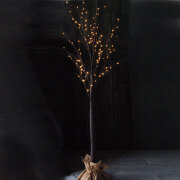 fiorira un giardino フィオリラ　アン　ジアルディーノ　フランジュール　francjour import　インポート