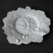 JB AdeV,cr_ations depuis 1993 | Jean Baptiste Astier de Villatte　美しい白い陶器