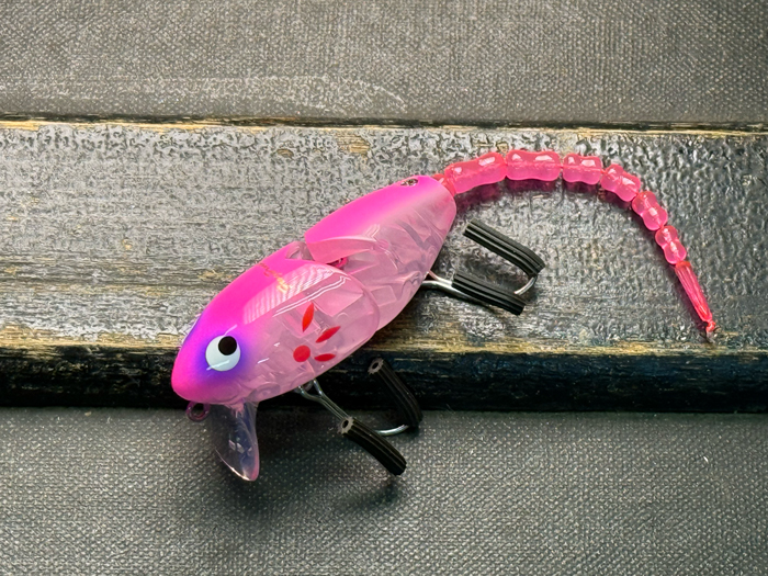 マッドラッド50：ピンクバッククリア