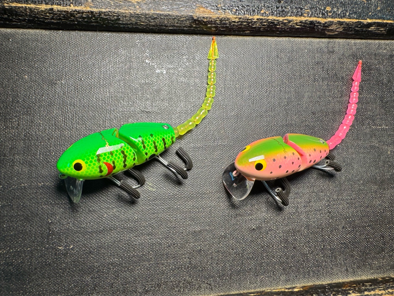 マッドラッド50 FUNKYMOUSE 新品未使用未開封品 マッドラッド50 スポット新色 FROG