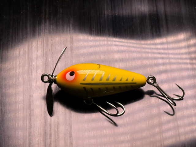 ☆FROG オリジナル商品 FROG