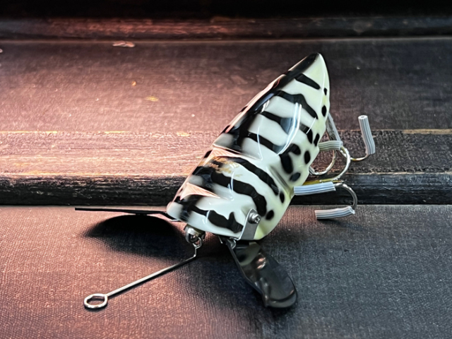 初期ウッドマスキーガンディーニ：コーチドック