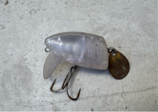 ☆FROG オリジナル商品 FROG