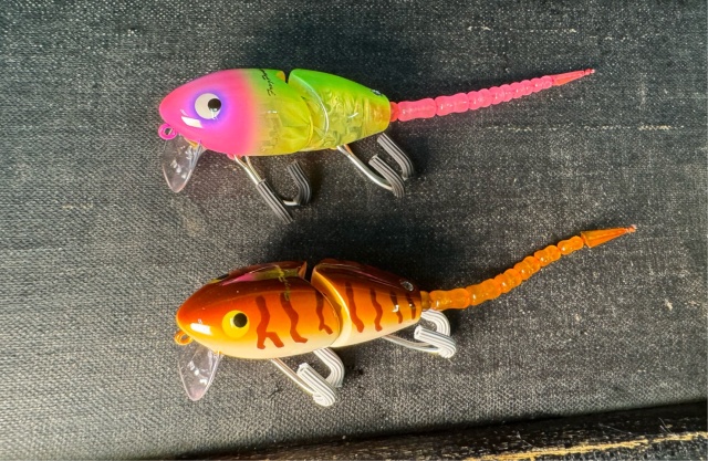 まめたろうくん　フロッグプロダクツ　ウッドベアドール　パンダ fs-sakaistore_blfrg015