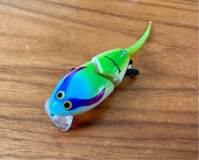 ☆FROG オリジナル商品 FROG