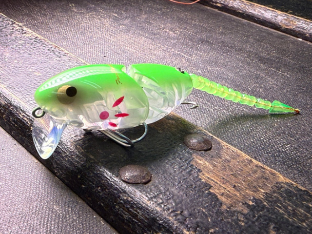 マッドラッド50:ライムグリーンバックリフレクター