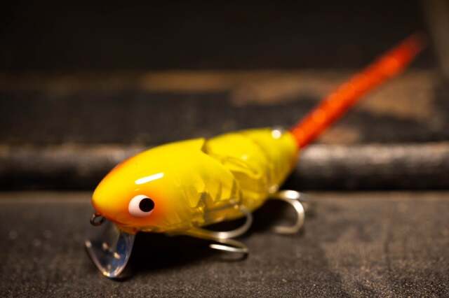FROG PRODUCTS / フロッグプロダクツ 【 MAD RAD STICK きつい 6.7ft 