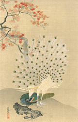 円山応挙　孔雀図　日本木版画粋