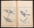 漢画獨稽古　全2巻