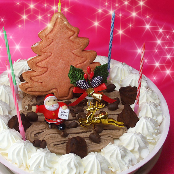[11/30(24:00)迄早割] ★Xmas★デコレーションアイスケーキ【送料無料】