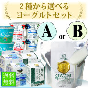 【送料無料】フロム蔵王２種から選べるヨーグルト・デザートセット(ＡorＢお試しセット）