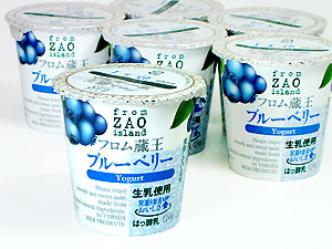 ブルーベリーY6P