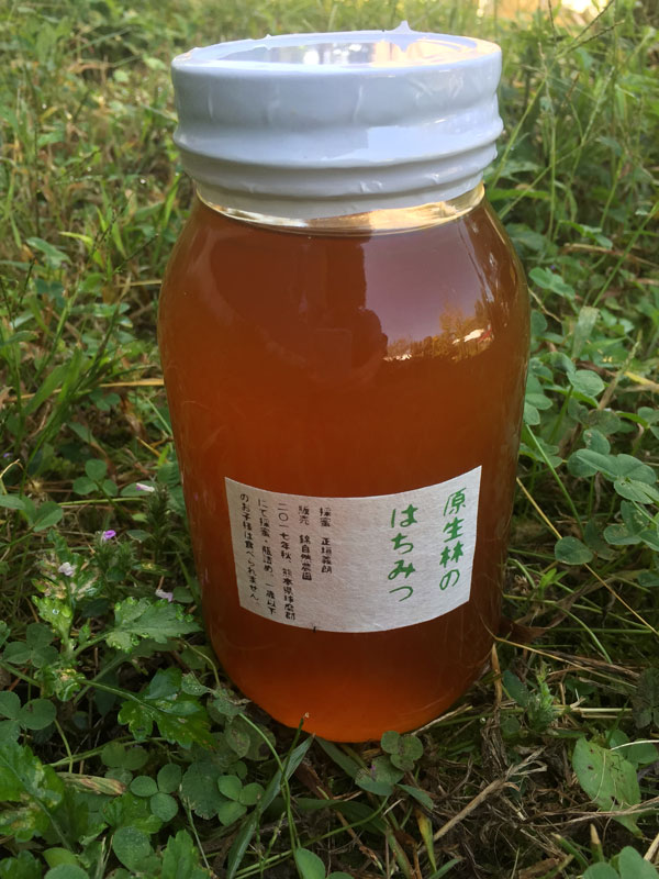 くまのプーさんの気分で食べたい☆原生林のはちみつ