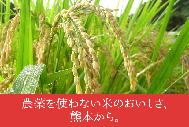 錦自然農園◇熊本から安心安全オーガニック 無農薬と減農薬の商品をお届け