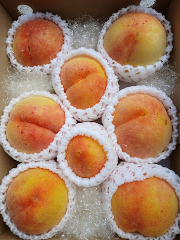 農薬９割以上削減、無肥料、完熟収穫★「自然派の桃」／後期・中箱（約2キロ）