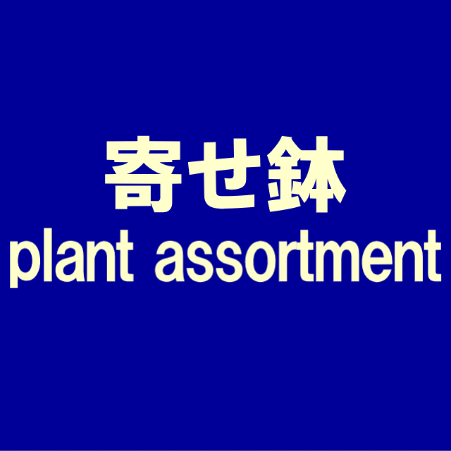 寄せ鉢