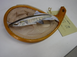 工房ひわたり オイカワネット　Leaf　No2601441