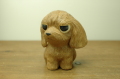 トイプードル