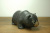 クマ