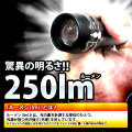 CREE社　250LMハンディライト「円光」