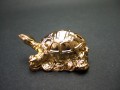 ２寸金銭亀