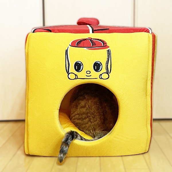 PET-CBimg3.jpg?t=20220615160423