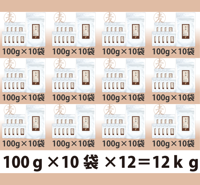 パウダー茶　インスタント茶　【オリジナルシリーズ】業務用　風雅園　粉末麦茶 【給茶機対応】　2000杯分（100g×10袋）×12箱