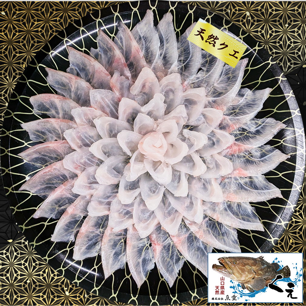 山口県産天然クエ刺身│ふぐの魚重オンラインショップ