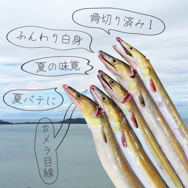 山口、宇部、防府の海