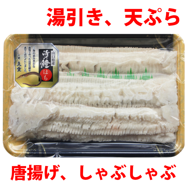 はもフィーレ300g（骨切り済み）／下関工場直送、株式会社魚重