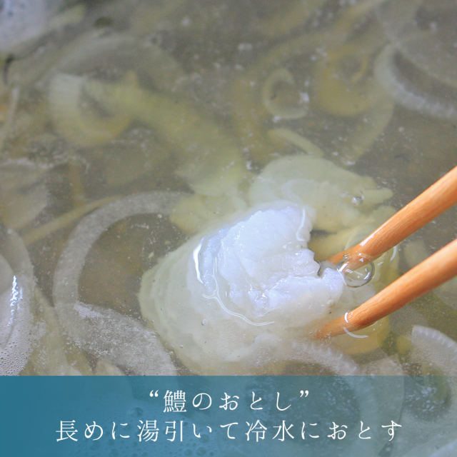 鱧（ハモ）しゃぶセット_湯引き